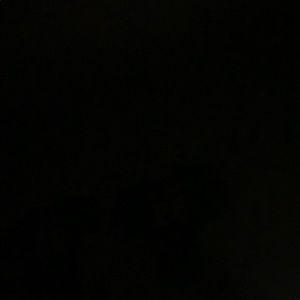 Meet your Posher, Leo